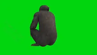 Youtube  Ape Intro Green Screen Effects | No Copyright | Intro Template No Text