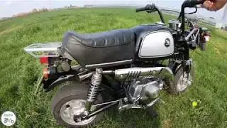 Honda Gorilla Daytona hyper head 88cc