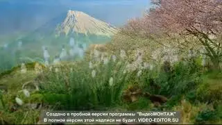 Грация плюс 92 занятие Отработка основных движений танца Летка Енька