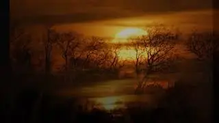 Lost In a Dream ~ Judyesther