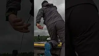 ВОТ ЭТО ВЖАРИЛ!!! ПОИМКА ТРОФЕЙНОГО СОМА!!! 