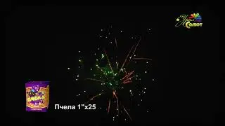 Салют "Пчела" 25 зарядов. Урал Салют