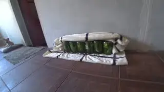 ЗАКАТАЛ ОГУРЦЫ НА ЗИМУ/НАВЁЛ ПОРЯДОК В ДОМЕ/ПРИГОТОВИЛ ВКУСНЫЙ САЛАТ/ЖИЗНЬ СТАНИЧНАЯ/