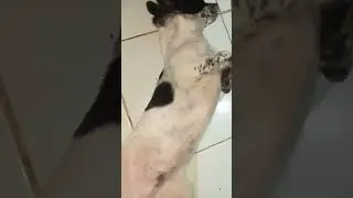SLEEPING LIKE THIS 
