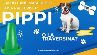 Per la pipì del cane maschio è meglio la traversina o Pippi?