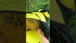 A Throw bag you must see! 👀🔥(PETZL Eclipse) #petzl #climbing #treesurgery #arb #gear #clever