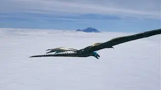 Join us for todays Day of Dragons GIVEAWAYS  multiple chances to win