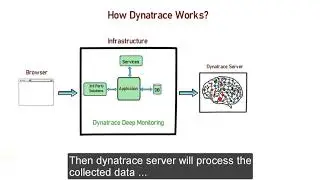 How Dynatrace Works