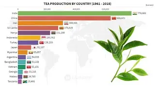 Top 15 Countries by Tea Production (1961 – 2018)