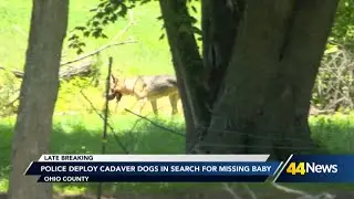 Police deploy cadaver dogs in search for missing baby