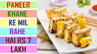 पनीर खाने के 7 लाख रुपये मिल रहे हैं | Amazing Fact |  #shorts #pstechnicalguru #facts