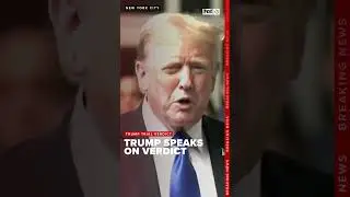 Donald Trump speaks on the trial verdict of guilty on all 34 counts