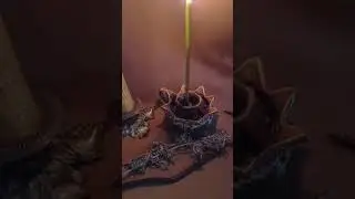 461.) Полынь поможет .( Когда нет сна )))
