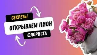 Открываем Пион. Работа с цветком. Секреты флориста 