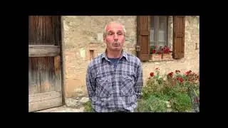 Vendemmia a Galbusera Nera