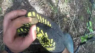 Добиваю территорию нашёл старый колодец, КОП с Нокта Макро  СИМПЛЕКС плюс.