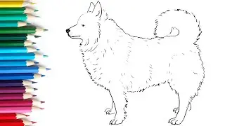 How To Draw A Dog Step By Step || Easy Drawing for beginners || Weekend Art