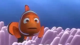 Finding Nemo Barracuda