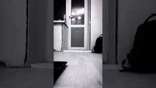 момо не спит. 