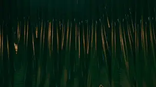 "whyrush?" unreversed ending (Cole Bennett short film)