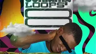 MSXII Sound Design - Schlump Loops Vol. 8 Sample Pack
