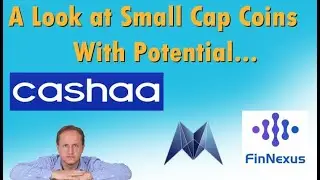 A Quick Look at Small Cap Coins with Potential (Cashaa, FinNexus, Morpheus)