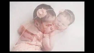 Jackie Webster Collections - Celia Newborn