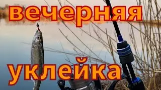 Весенняя уклейка на спиннинг ГАММАРУС (GAMMARUS) NANO SPIN MSK 0.1-0,6 gr 1.86m . Мормышинг.