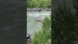 Рафтинг по Катуни 🛶 