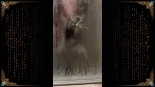 HE CAN'T GET OUT FROM LIBRARY OF RUINA