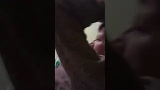 СТЕША, ДАША И МАМА.