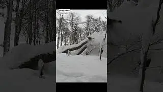 Вова Ветер падает с дерева в горных лыжах.