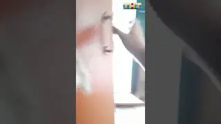 Выпуск который вы просили