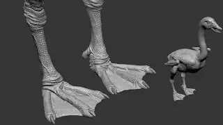 Goose Legs Sculpting and Detailing - Zbrush 2022 Study