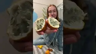 Обзор: гранадилла