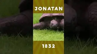 Yer yuzidagi eng yoshi katta hayvon