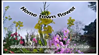 New Video Flower at!!my Home Town .. with Chicken Thukpa ....