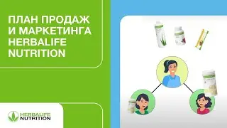 План продаж и маркетинга Herbalife Nutrition