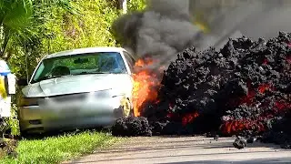 Best Viral Videos of The Year I 2022