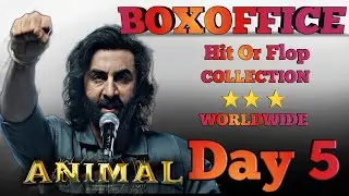 Animal 5th day box office collection