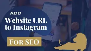 Add Website URL to Instagram Profiles