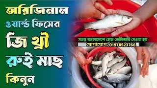 আগামী সিজনের চিন্তা করে বুদ্ধিমান খামারি।এই তথ্যই হতে পারে মাছ চাষের মাইলফলক।চাপের পোনা তৈরির পদ্ধতি