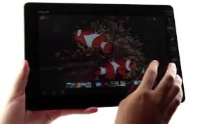 Meet the Quad-core 10-inch Asus Memotab ME301T