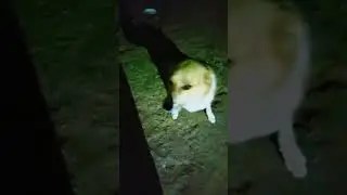 не спим 