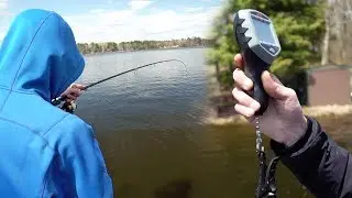 We Had to WEIGH this BEAST FISH!