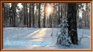 Лесная сказка
