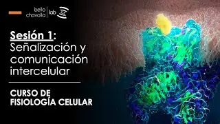 Transducción de señales y comunicación intercelular