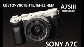 Sony a7c notes after 8 months of daily use. Detailed review, part 2. 