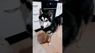 разговор по душам
