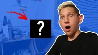 MY NEW PETS!!! *INSANE*